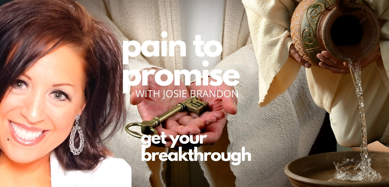 Pain To Promise With Josie Brandon